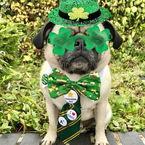 3 Pcs St Patricks Day Costume Patrick Star Dog Costume Green Hat Glasses Bow Tie Cute Pet Fun Matching for Large Dogs Dog Clothes in Saudi Arabia