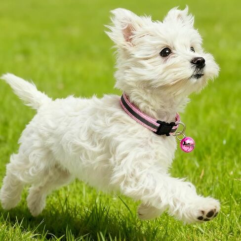 Puppy Collars with Bell, 2-Pack Nylon Basic Reflective Cat Collar Dog Collar with Bells for XXS XS Small Dog Pet Animal Tiny Kitten Boy Girls, XSmall,Blue +Light Blue in Kuwait