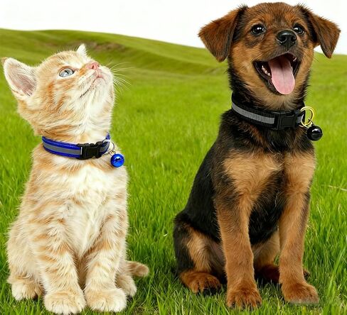 Puppy Collars with Bell, 2-Pack Nylon Basic Reflective Cat Collar Dog Collar with Bells for XXS XS Small Dog Pet Animal Tiny Kitten Boy Girls, XSmall,Blue +Light Blue in Kuwait