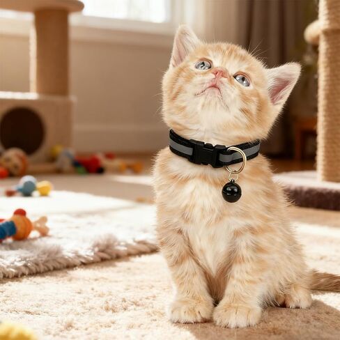 Puppy Collars with Bell, 2-Pack Nylon Basic Reflective Cat Collar Dog Collar with Bells for XXS XS Small Dog Pet Animal Tiny Kitten Boy Girls, XSmall,Blue +Light Blue in Kuwait