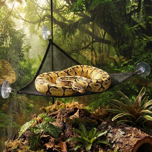 Hysagtek Ball Python Tank Accessory - 3 Pcs Snake Enrichment Toys Ball with Hammock and Climbing Rings, Jungle Gym Ball with Chain, Reptiles Climbing Toy Hammock Snakes Tank Accessories in Kuwait