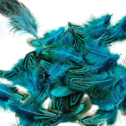 50PCS Teal Natural Feathers for DIY Craft, 2-3 Inches Blue Pheasant Plumage Feathers for Sewing Crafts Jewelry Clothing Scrapbooking Decor Accessories in Saudi Arabia