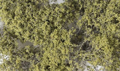 Olive Green Fine-Leaf Foliage Woodland Scenics in Saudi Arabia