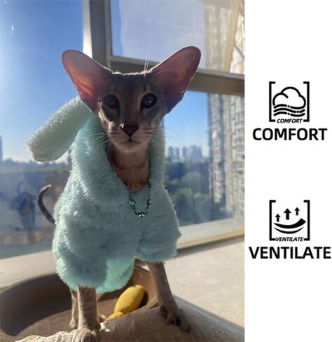 Stretchy Fuzzy 2-Leg Cat Hoodie Pajamas for Sphynx,Soft Fluffy Loungewear with Bunny Ears, Cozy Home Clothes for Hairless Cats, Winter Warm Outfit Sweater (Blue, L (5.5-8 lbs)) in Saudi Arabia