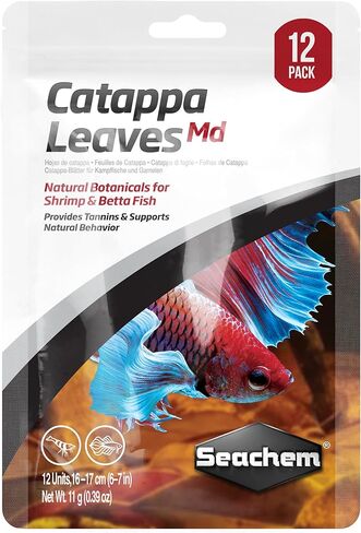Catappa Leaves Md. (12 Pack) in Saudi Arabia