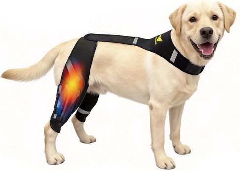 دعامة ركبة الكلب لعلاج تمزق الرباط الصليبي الأمامي والتعافي بعد الجراحة - دعم الساق الخلفية مع نظام حزام مزدوج حاصل على براءة اختراع وجبائر مرنة، يخفف آلام العرج والتهاب المفاصل للكلاب الصغيرة والمتوسطة (متوسطة) 15-40 رطل in Kuwait