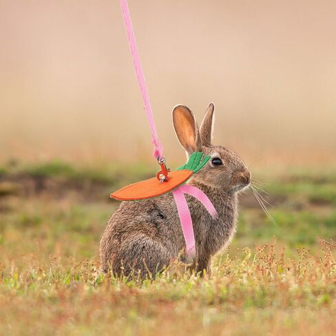 VANZACK Small Pet Harness Leash Set 5pcs Replaceable Rabbit Squirrel Walking Rope with Decorative Accessories for Outdoor Small Animals Random Color in Saudi Arabia