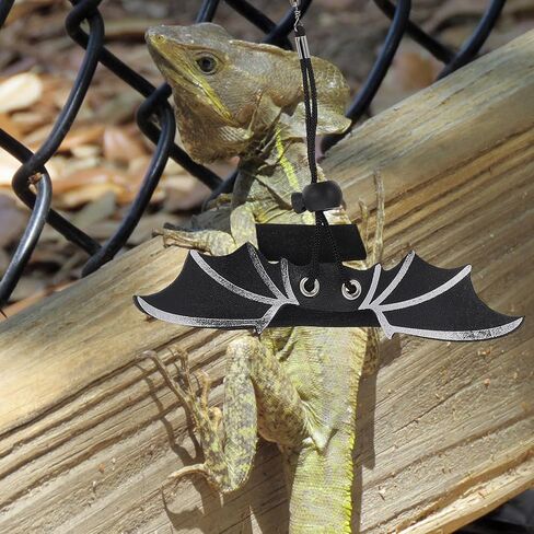 مجموعة ربطات عنق السحلية مع حزام التنين الملتحي القابل للتعديل ومجموعة قبعة علوية وردية لملحقات مقود الزواحف للمشي في الهواء الطلق in Kuwait