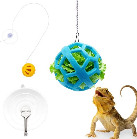 Bearded Dragon Enrichment Toys Feed Toys Bells Interactive Feeder and Exercise Ball for Lizards, Geckos & Small Reptiles Habitat Terrarium Tank in Saudi Arabia