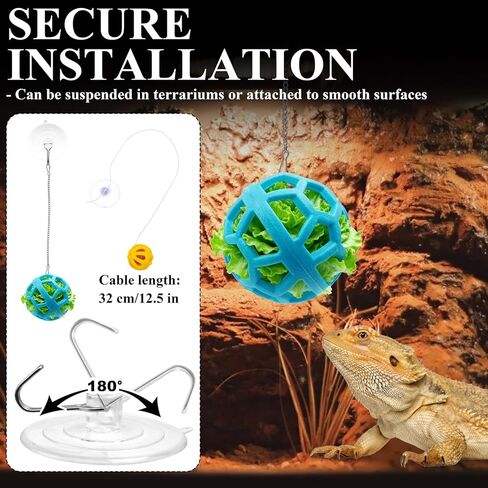 Bearded Dragon Enrichment Toys Feed Toys Bells Interactive Feeder and Exercise Ball for Lizards, Geckos & Small Reptiles Habitat Terrarium Tank in Saudi Arabia