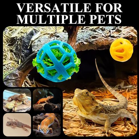 Bearded Dragon Enrichment Toys Feed Toys Bells Interactive Feeder and Exercise Ball for Lizards, Geckos & Small Reptiles Habitat Terrarium Tank in Saudi Arabia