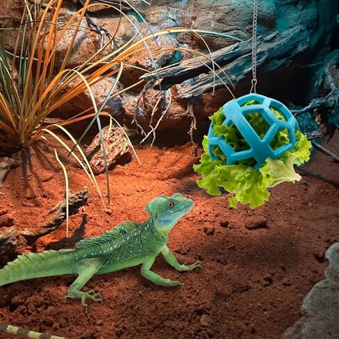 Bearded Dragon Enrichment Toys Feed Toys Bells Interactive Feeder and Exercise Ball for Lizards, Geckos & Small Reptiles Habitat Terrarium Tank in Saudi Arabia