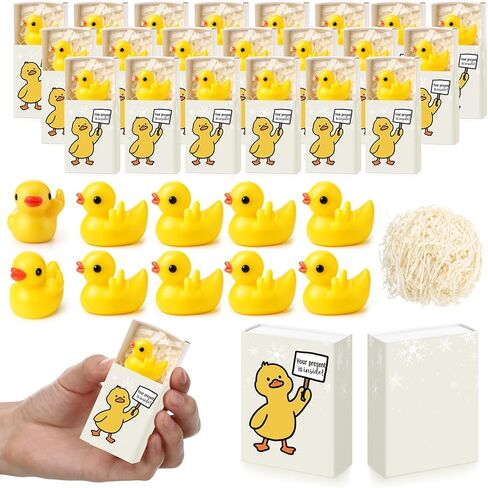 Yookeer 24 Sets Pocket Hugs Gift Bulk Emotional Resin Bird Positive Resin Animal Bird with Cheer Card Box Inspirational Office Gifts for Friends Coworkers Women Teacher Staff in Saudi Arabia