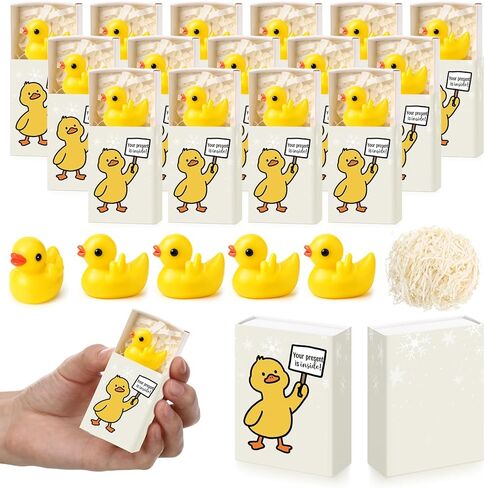 Yookeer 24 Sets Pocket Hugs Gift Bulk Emotional Resin Bird Positive Resin Animal Bird with Cheer Card Box Inspirational Office Gifts for Friends Coworkers Women Teacher Staff in Saudi Arabia