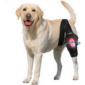 Dog Knee Brace for Torn Acl Hind Leg - Adjustable Stabilizing Support for Ccl Injury, Luxating Patella, Hind Leg Pain & Arthritis - Rear Leg Limp Support in Saudi Arabia