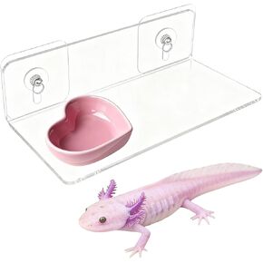 Axolotl Feeding Shelf with Feeder Bowl, Axolotl Ledge and Pink Dish in Saudi Arabia