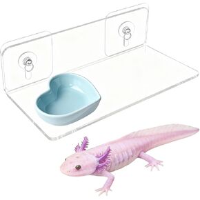 Axolotl Feeding Shelf with Feeder Bowl, Axolotl Hammock for Aquarium with Feeding Tray, Axolotl Tank Accessories for Bearded Dragons, Geckos, Lizards, Hamsters, Crabs in Kuwait
