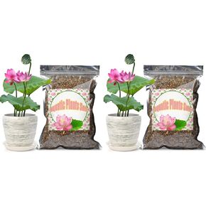 تربة مائية للنباتات - 2.2 رطل، تربة حوض السمك الطينية مناسبة للبرك الصغيرة والنباتات المائية مثل اللوتس وزنبق الماء، آمنة للأسماك والحياة المائية in Kuwait