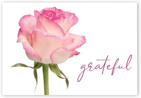Great Papers! Grateful Pink Rose Thank You Note Card and Envelope, 4.875" x 3.375", 24 count (2025029) in Saudi Arabia