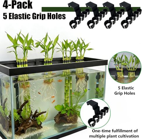 4 عبوات من حامل نباتات حوض السمك / مشبك من الخيزران - لحمل سيقان الخيزران أو النباتات الأخرى في حوض السمك ذو الحواف، 5 فتحات مرنة - حافة خزان الأسماك بسعة 75 جالون لتزيين زراعة أكوابونيك / هدايا in Kuwait