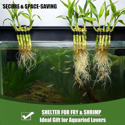 4 عبوات من حامل نباتات حوض السمك / مشبك من الخيزران - لحمل سيقان الخيزران أو النباتات الأخرى في حوض السمك ذو الحواف، 5 فتحات مرنة - حافة خزان الأسماك بسعة 75 جالون لتزيين زراعة أكوابونيك / هدايا in Kuwait