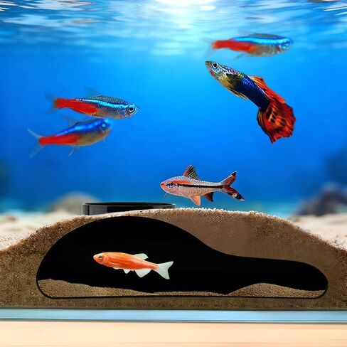 Aquarium Decor, Shrimp Dome Hide & Habitat, Aquarium Tunnel Cave, Natural Curve Underground Hideout for Shrimp, Guppy, Fish Tank Decor & Viewing Accessories in Kuwait