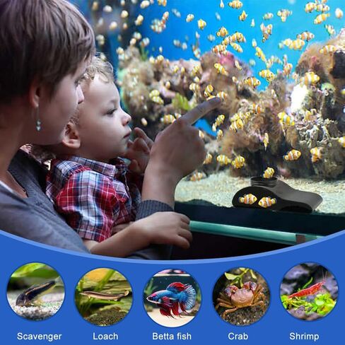 Aquarium Decor, Shrimp Dome Hide & Habitat, Aquarium Tunnel Cave, Natural Curve Underground Hideout for Shrimp, Guppy, Fish Tank Decor & Viewing Accessories in Kuwait