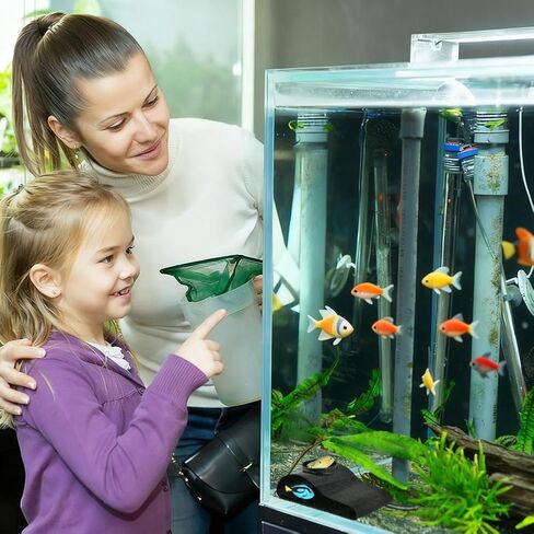 Aquarium Decor, Shrimp Dome Hide & Habitat, Aquarium Tunnel Cave, Natural Curve Underground Hideout for Shrimp, Guppy, Fish Tank Decor & Viewing Accessories in Kuwait