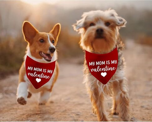JXGZSO قطعة واحدة من هدية أمي/أبي هو My V Dog Bandana Dog Bandana (أمي هي عيد الحب D) in Kuwait
