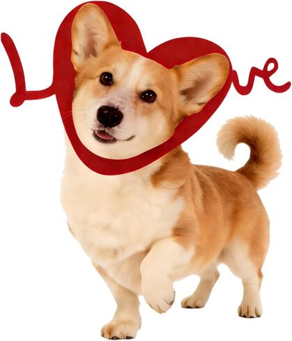 Valentines Day Dog Costume Valentine’s Day Red Love Heart Dog Outfit Adjustable Cute Headwear for Pet Dog (Red S) in Saudi Arabia