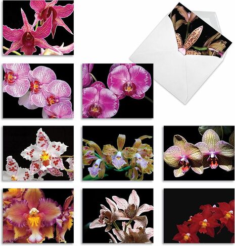 The Best Card Company - 10 Blank Note Cards with Flowers (4 x 5.12 Inch) - Floral Notecards, All Occasion Boxed Assortment - Orchid Nights M1734BN in Saudi Arabia