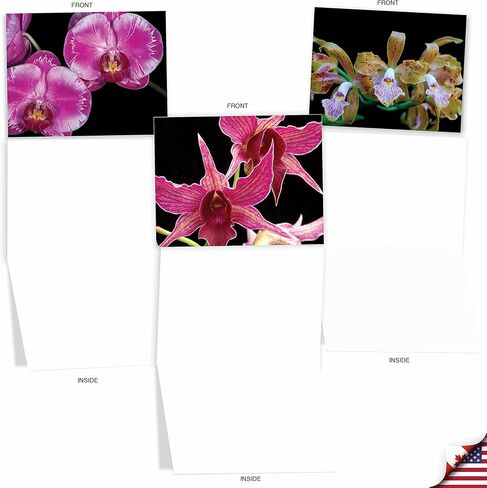 The Best Card Company - 10 Blank Note Cards with Flowers (4 x 5.12 Inch) - Floral Notecards, All Occasion Boxed Assortment - Orchid Nights M1734BN in Saudi Arabia