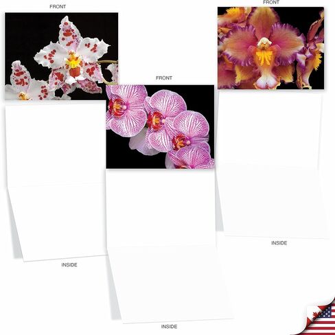 The Best Card Company - 10 Blank Note Cards with Flowers (4 x 5.12 Inch) - Floral Notecards, All Occasion Boxed Assortment - Orchid Nights M1734BN in Saudi Arabia
