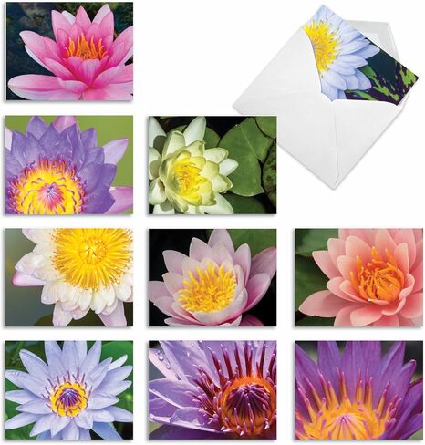 The Best Card Company - 10 Blank Note Cards with Flowers (4 x 5.12 Inch) - Floral Notecards, All Occasion Boxed Assortment - Orchid Nights M1734BN in Saudi Arabia