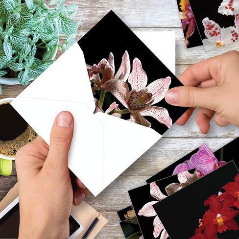 The Best Card Company - 10 Blank Note Cards with Flowers (4 x 5.12 Inch) - Floral Notecards, All Occasion Boxed Assortment - Orchid Nights M1734BN in Saudi Arabia