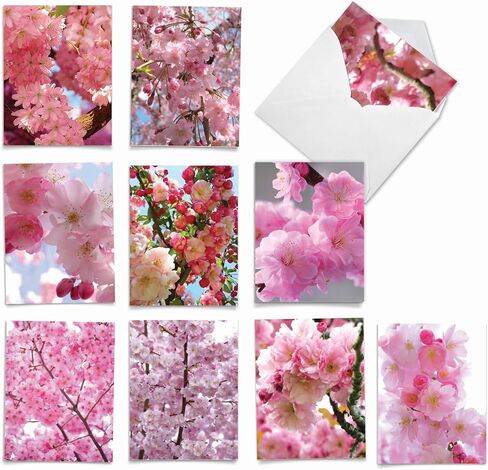 The Best Card Company - 10 Blank Note Cards with Flowers (4 x 5.12 Inch) - Floral Notecards, All Occasion Boxed Assortment - Orchid Nights M1734BN in Saudi Arabia