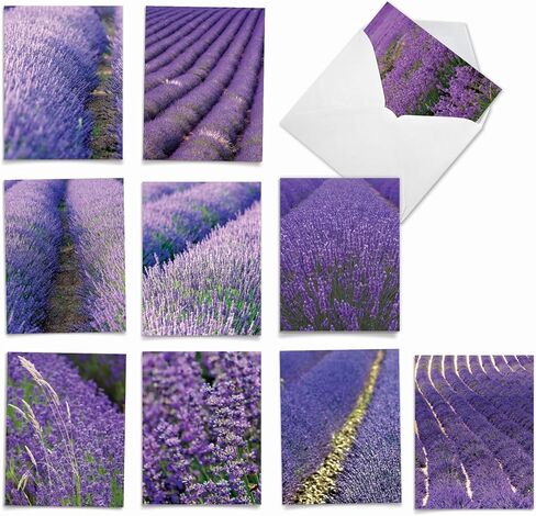 The Best Card Company - 10 Blank Note Cards with Flowers (4 x 5.12 Inch) - Floral Notecards, All Occasion Boxed Assortment - Orchid Nights M1734BN in Saudi Arabia
