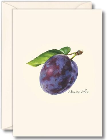 Earth Sky + Water - Plum Notecard Set - 8 Blank Cards with Envelopes in Saudi Arabia