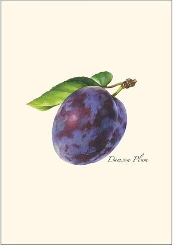 Earth Sky + Water - Plum Notecard Set - 8 Blank Cards with Envelopes in Saudi Arabia