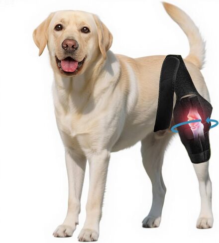 Dog Knee Brace for Torn Acl Hind Leg - Adjustable Stabilizing Support for Ccl Injury, Luxating Patella, Hind Leg Pain & Arthritis - Rear Leg Limp Support in Saudi Arabia