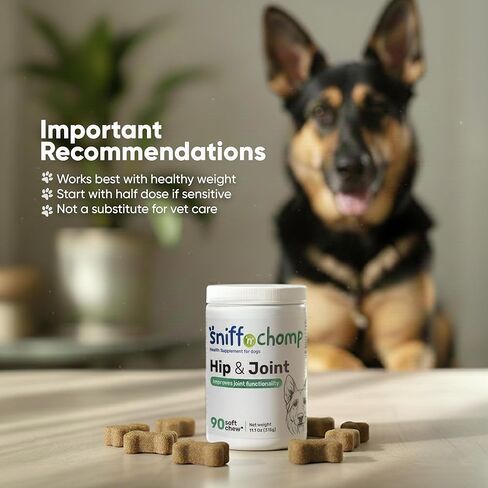 SNIFF 'N' CHOMP مكملات الورك والمفاصل للكلاب، نكهة لحم الخنزير المقدد، دعم المفاصل مع الجلوكوزامين للكلاب MSM الكركم أوميغا 3، سهل المضغ، كلب كبير ونشط | 90 مضغة ناعمة in Kuwait