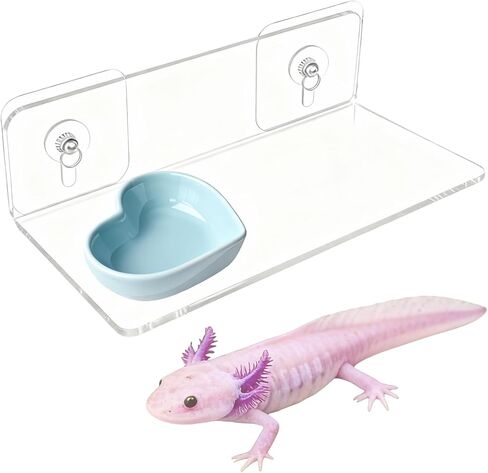 رف تغذية axolotl مع وعاء تغذية، أرجوحة axolotl لحوض السمك مع صينية تغذية، ملحقات خزان axolotl للتنين الملتحي، geckos، السحالي، الهامستر، سرطان البحر in Saudi Arabia