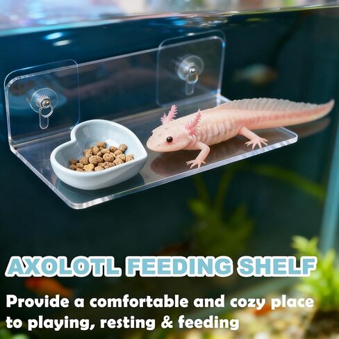 رف تغذية axolotl مع وعاء تغذية، أرجوحة axolotl لحوض السمك مع صينية تغذية، ملحقات خزان axolotl للتنين الملتحي، geckos، السحالي، الهامستر، سرطان البحر in Kuwait