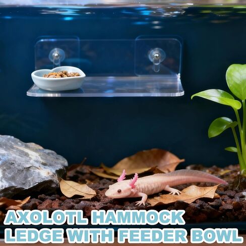 رف تغذية axolotl مع وعاء تغذية، أرجوحة axolotl لحوض السمك مع صينية تغذية، ملحقات خزان axolotl للتنين الملتحي، geckos، السحالي، الهامستر، سرطان البحر in Kuwait