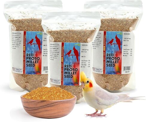 Morning Bird Red Proso Millet Bird Seeds 1.5 lbs – Healthy & Nutritious Pet Bird Food - Bird Seeds for Feather Growth – Perfect for Finches, Parakeets & Other All Pet Birds in Saudi Arabia