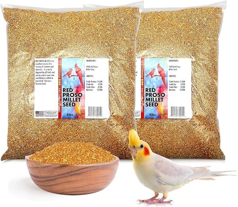 Morning Bird Red Proso Millet Bird Seeds 1.5 lbs – Healthy & Nutritious Pet Bird Food - Bird Seeds for Feather Growth – Perfect for Finches, Parakeets & Other All Pet Birds in Saudi Arabia