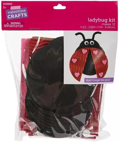 Heart Ladybug Craft Kit - Dress Up Valentine's Day DIY Fun - Makes 12 in Saudi Arabia