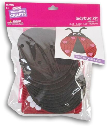 Heart Ladybug Craft Kit - Dress Up Valentine's Day DIY Fun - Makes 12 in Saudi Arabia