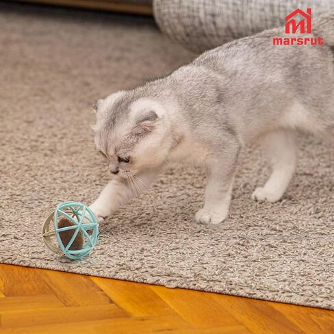 Squeaky Mouse Ball Cat Toy with Simulated Sound, 4.3in Mouse Ball Cage, Squeky Balls for Cats to Play With Indoor, Interactive Plastic Squeak Funny Toys Best for Playing Chasing Chewing Training in Saudi Arabia