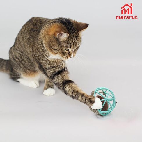 Squeaky Mouse Ball Cat Toy with Simulated Sound, 4.3in Mouse Ball Cage, Squeky Balls for Cats to Play With Indoor, Interactive Plastic Squeak Funny Toys Best for Playing Chasing Chewing Training in Saudi Arabia